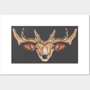 Deer with big horns Posters and Art